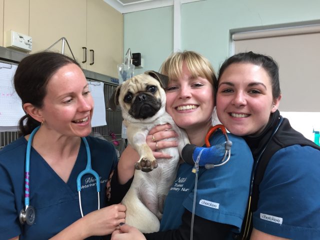 Nurses With Frankie