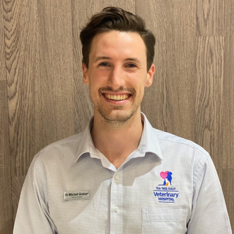 Staff Tea Tree Gully Veterinary Hospital Staff Tea Tree Gully Veterinary Hospital