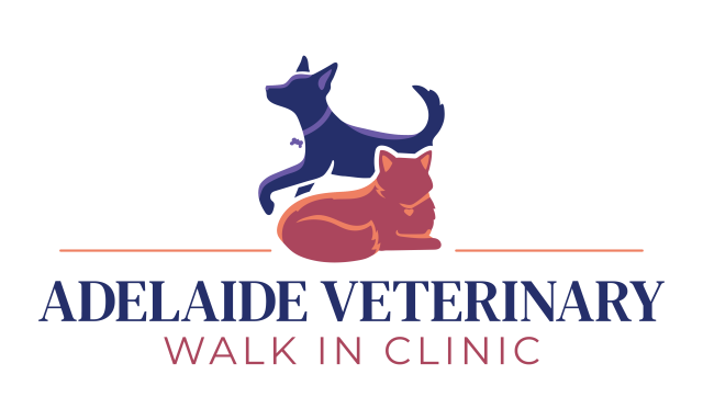 Adelaide Walk In Vet Clinic
